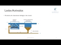 Ingeniería Ambiental - Dimensionamiento de Lodos Activados