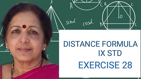 IX STD EX 28(17-19) CONCISE DISTANCE FORMULA