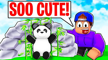 ROBLOX FIND THE PANDAS!