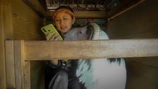 Download Lagu QNA PART 2 II DI KANDANG DEWAN (lovesheep) MP3