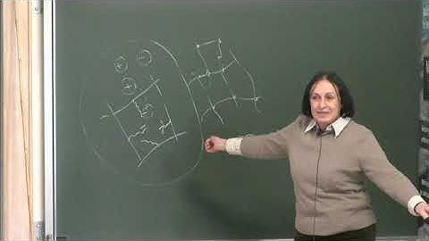 Prof. Carme Calderer | Polyelectrolyte gels: modeling chemo-mechanical interaction