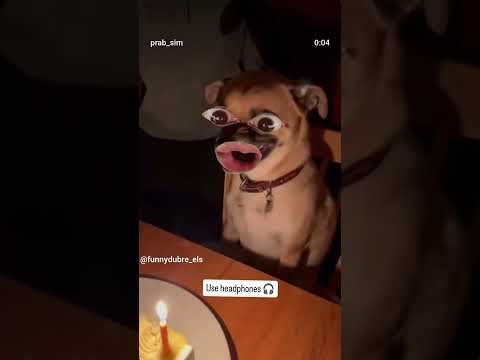 dogesh bhai ka birthday🥳  🤬