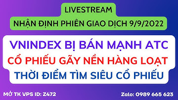 Chứng khoán hôm nay | Nhận định thị trường: Vnindex bị bán mạnh ATC, cổ phiếu gãy nền hàng loạt