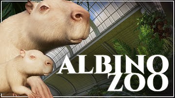 Building a Perfect INDOOR CAPYBARA SPA in our Albino City Zoo