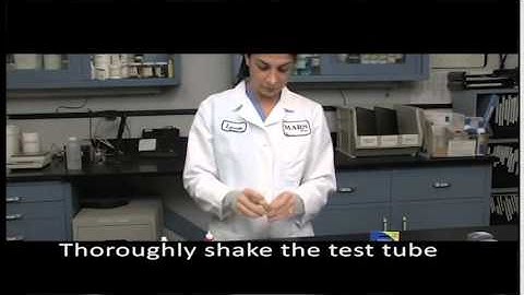 Using the API Liquid Ammonia Test Kit | Big Al