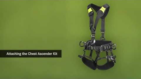 EDELRID Core Harness