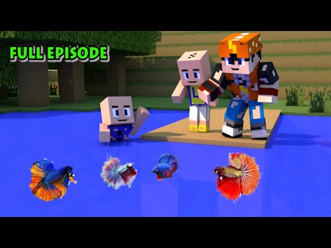 Upin Ipin, BoBoiBoy Pelihara Ikan Cupang Full Episode - BoBoiBoy Upin & Ipin Minecraft