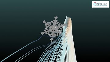 The aerodynamics of a snowflake | Happy Holidays!