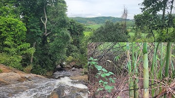 Vào rừng đi theo dòng Suối tìm lấy măng | trên  thác nước | Khám Phá Núi Rừng