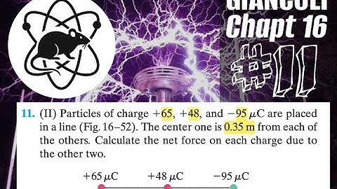 Problem #11 | Electromagnetism | Giancoli chapter 16