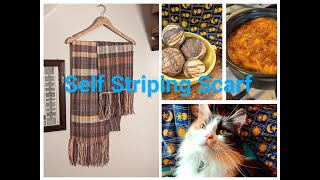 Weaving a Scarf with Self Striping Yarn! (and spicy ramen)