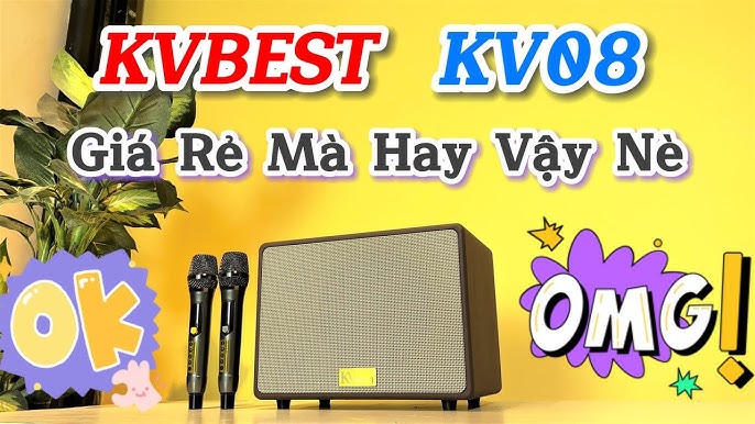Các tiêu chí lựa chọn loa karaoke xách tay tốt nhất