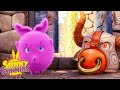 SUNNY BUNNIES - Costume Party | Season 2 | Cartoons for Children