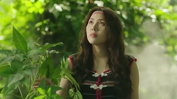 Sâm Ngọc Linh Kon Tum K5 - Quốc Bảo Việt Nam - Báu Vật Đại Ngàn