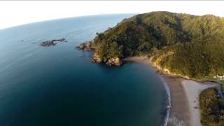 Little Bay Coromandel