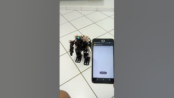 14DOF Robot: Gesture Control 2
