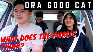Ora Good Cat - What Does The Public Think?
