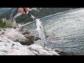 Shore Fishing in Croatia / Strijelka (Bluefish)
