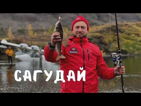 САГУДАЙ КАК ПРАВИЛЬНО ПРИГОТОВИТЬ ХАРИУС