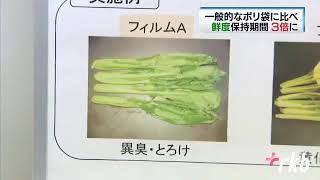 特許取得済み野菜保存袋ベジフレッシュ