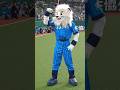 Most backwards handsprings by a mascot in 30 seconds - 31 by Leo from the Saitama Seibu Lions ⚾️