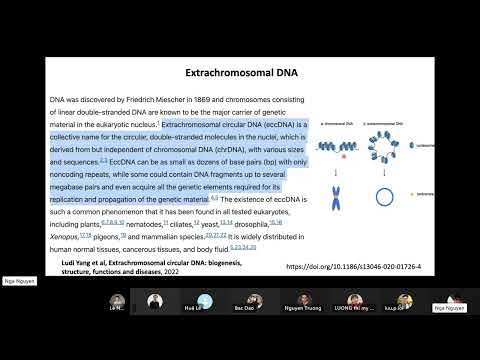 Video: Các phần tử Extrachromosomal là gì?