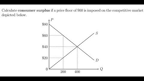 Consumer Surplus with a Binding Price Floor