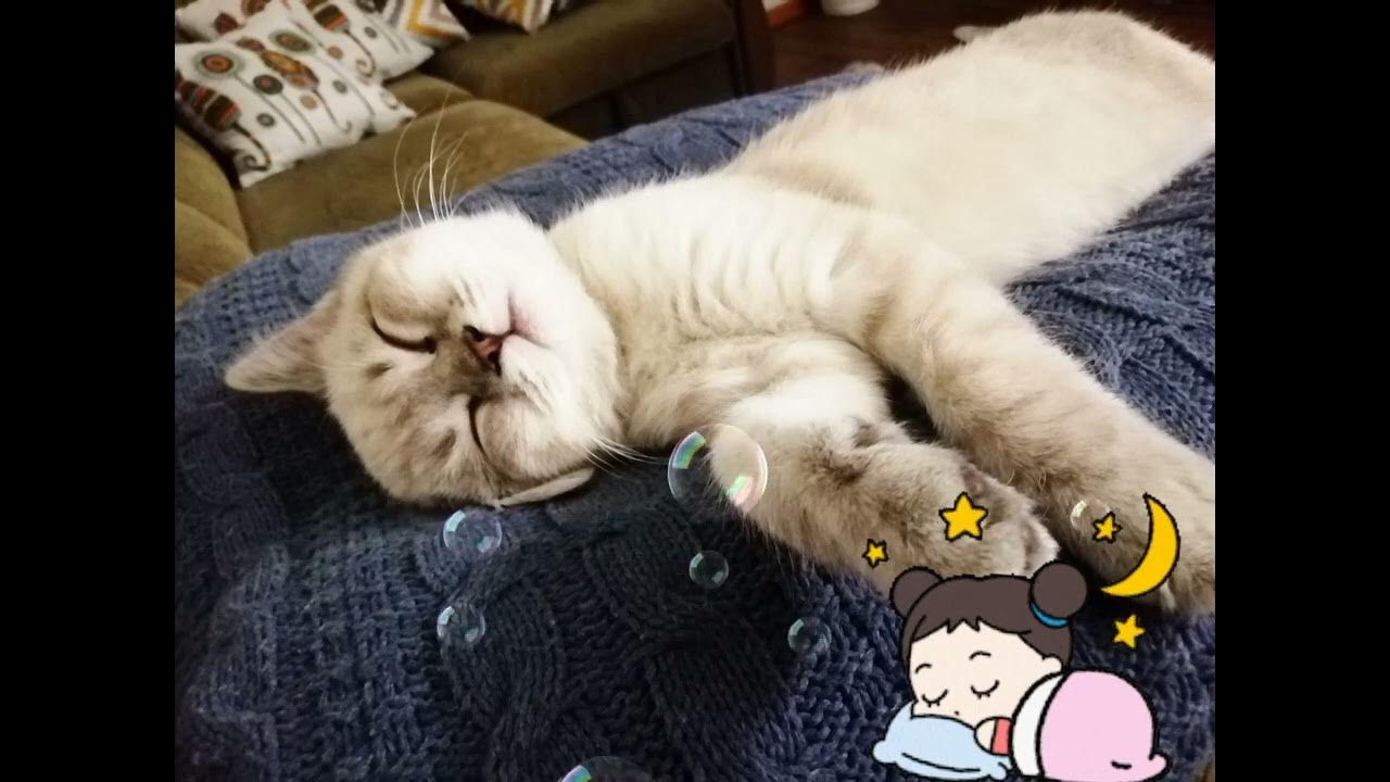 тихий час в детском саду иллюстрации. время тихого часа. спи во время тихого часа. тихий час стихи для детей. мультяшка спит.