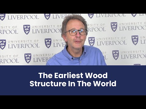 The Earliest Wood Structure In The World