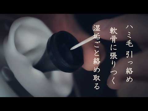 【ASMR無言｜耳ふー】ハミ毛引っ絡む湿垢回収｜軟骨に張りつく湿垢こそぎ取る｜鼓膜ぎわ乾燥湿剥がし｜ハミ毛回収  Sticky + Dry Earwax Scraping Ear Blowing