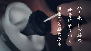【ASMR無言｜耳ふー】ハミ毛引っ絡む湿垢回収｜軟骨に張りつく湿垢こそぎ取る｜鼓膜ぎわ乾燥湿剥がし｜ハミ毛回収  Sticky + Dry Earwax Scraping Ear Blowing