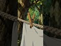 Fresh Laundry in the Summer Breeze 🧺 ASMR Slow Living #shorts #peaceful #asmr #animation #slowliving