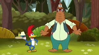 Pica-Pau Em Português Picolino Grelhado Desenhos Para Crianças