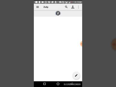 Zulip bug video