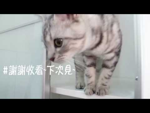 IKEA系統衣櫃DIY