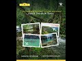 Hassle-Free Flight Bookings with Ashok Travels & Tours | ITDC India #itdcindia #theashok