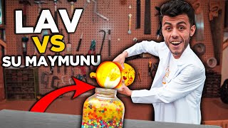 Lav Vs Su Maymuncuğu