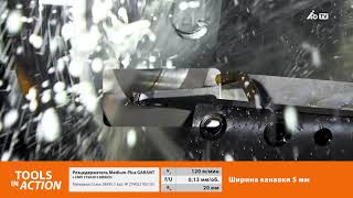 ToolsInAction: инструмент GARANT в действии