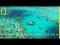 A Grande Barreira de Coral, Austrália | National Geographic Portugal