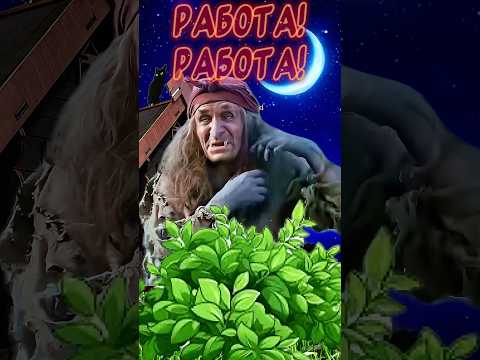 Посмотри 3 РАЗА‼️СБУДЕТСЯ🤣Весёлая открытка для отличного настроения👍