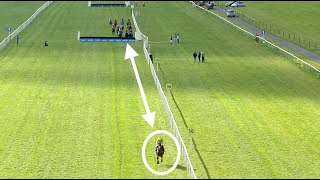 SALVATOR MUNDI wins by half the track... literally at Tipperary