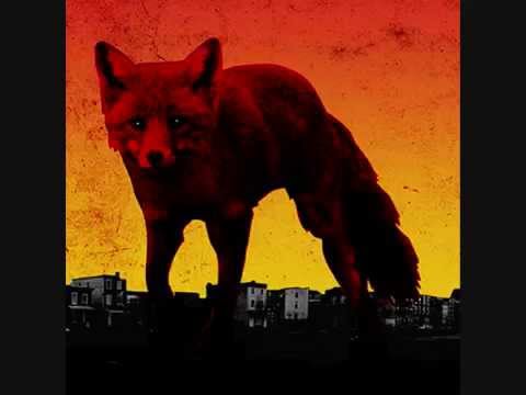 The Prodigy - Rok-Weiler