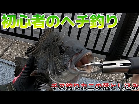 初心者のヘチ釣り「チヌ釣りカニの落とし込み」