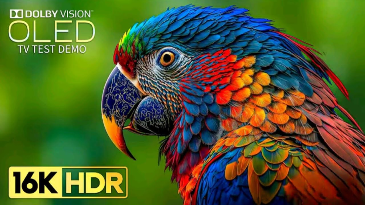 OLED TEST DEMO || 4K VIDEO Ultra HD 