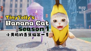 香蕉猫动画第一季（全）