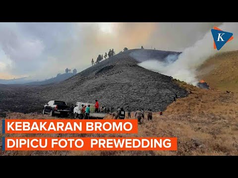 Penyebab Kebakaran Bromo Dipicu Foto Prewedding Pakai Flare