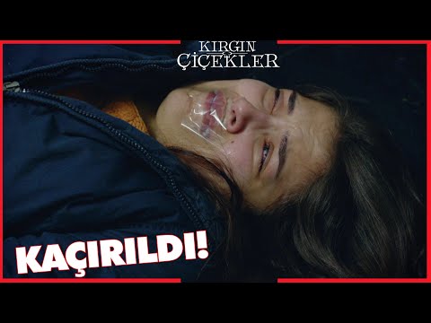 Kırgın Çiçekler Özel Kısa Bölümler | 230