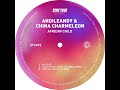 AndileAndy & China Charmeleon - My Spirit