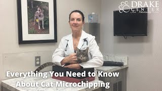 Everything You Need to Know About Cat Microchipping