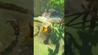 Botwwhat Do You Get By Cooking Star Fragments? - Dueling Peaks - Breath Of The Wild